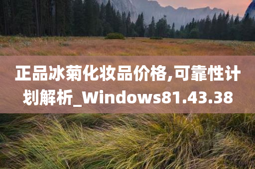 正品冰菊化妆品价格,可靠性计划解析_Windows81.43.38