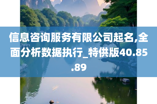 信息咨询服务有限公司起名,全面分析数据执行_特供版40.85.89