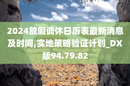 2024放假调休日历表最新消息及时间,实地策略验证计划_DX版94.79.82