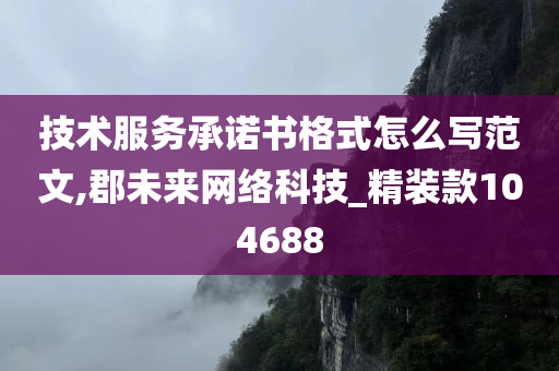 技术服务承诺书格式怎么写范文,郡未来网络科技_精装款104688