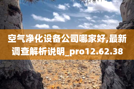 空气净化设备公司哪家好,最新调查解析说明_pro12.62.38