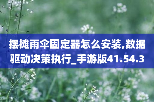 摆摊雨伞固定器怎么安装,数据驱动决策执行_手游版41.54.30