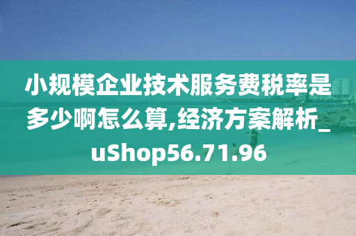 小规模企业技术服务费税率是多少啊怎么算,经济方案解析_uShop56.71.96