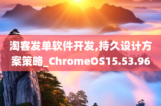 淘客发单软件开发,持久设计方案策略_ChromeOS15.53.96