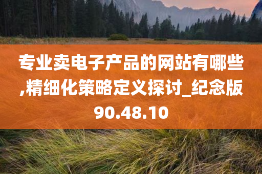 专业卖电子产品的网站有哪些,精细化策略定义探讨_纪念版90.48.10