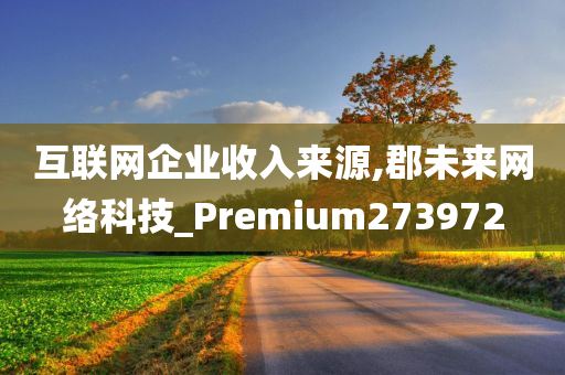 互联网企业收入来源,郡未来网络科技_Premium273972