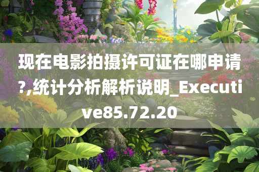 现在电影拍摄许可证在哪申请?,统计分析解析说明_Executive85.72.20