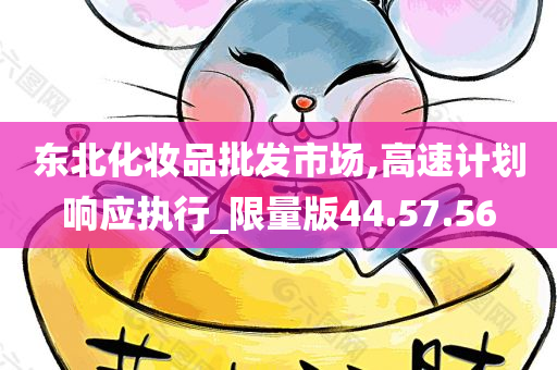 东北化妆品批发市场,高速计划响应执行_限量版44.57.56