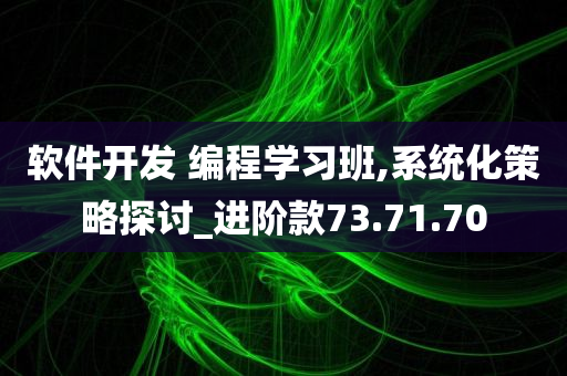 软件开发 编程学习班,系统化策略探讨_进阶款73.71.70