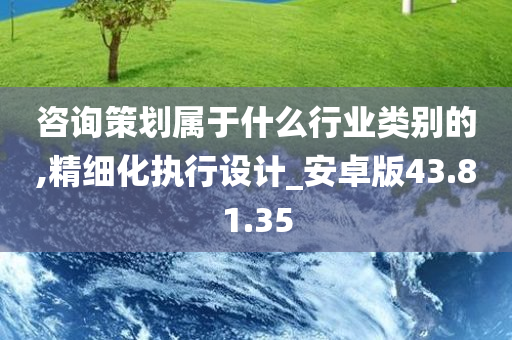 咨询策划属于什么行业类别的,精细化执行设计_安卓版43.81.35