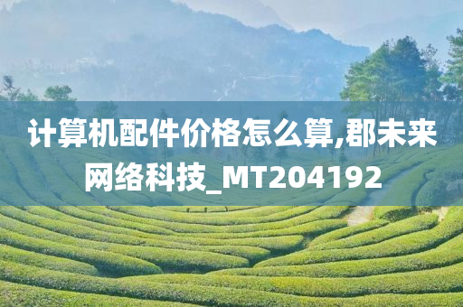 计算机配件价格怎么算,郡未来网络科技_MT204192