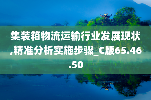 集装箱物流运输行业发展现状,精准分析实施步骤_C版65.46.50