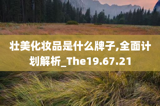 壮美化妆品是什么牌子,全面计划解析_The19.67.21