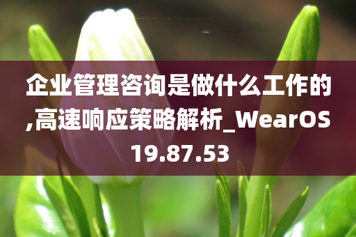 企业管理咨询是做什么工作的,高速响应策略解析_WearOS19.87.53