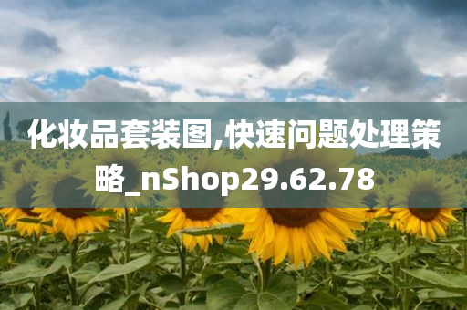 化妆品套装图,快速问题处理策略_nShop29.62.78