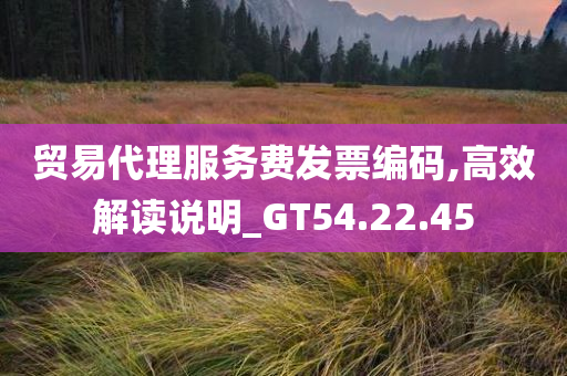 贸易代理服务费发票编码,高效解读说明_GT54.22.45