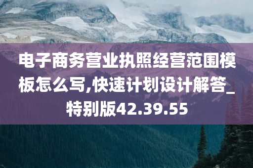 电子商务营业执照经营范围模板怎么写,快速计划设计解答_特别版42.39.55