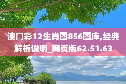 澳门彩12生肖图856图库,经典解析说明_网页版62.51.63