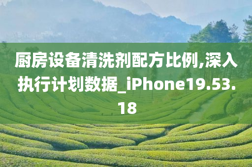 厨房设备清洗剂配方比例,深入执行计划数据_iPhone19.53.18