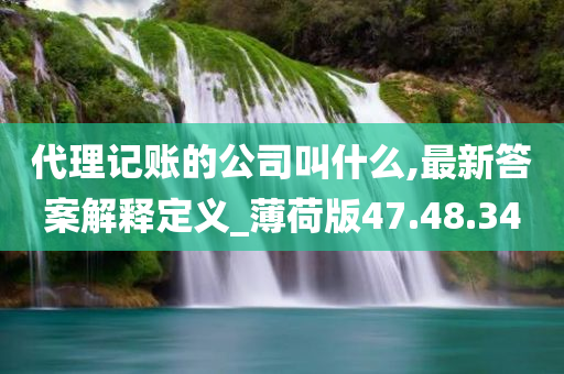 代理记账的公司叫什么,最新答案解释定义_薄荷版47.48.34