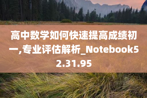 高中数学如何快速提高成绩初一,专业评估解析_Notebook52.31.95