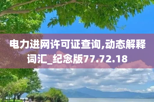 电力进网许可证查询,动态解释词汇_纪念版77.72.18