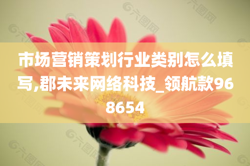 市场营销策划行业类别怎么填写,郡未来网络科技_领航款968654