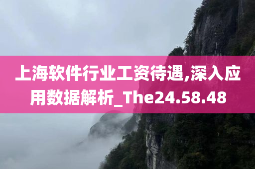 上海软件行业工资待遇,深入应用数据解析_The24.58.48