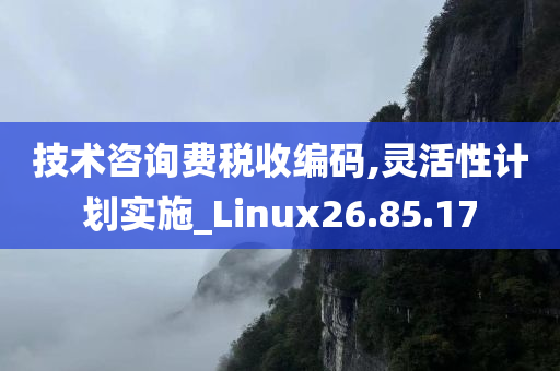 技术咨询费税收编码,灵活性计划实施_Linux26.85.17