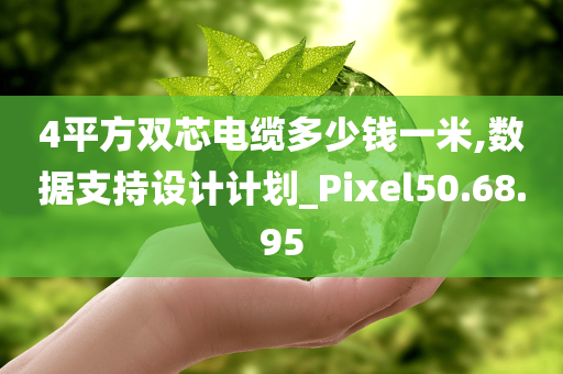 4平方双芯电缆多少钱一米,数据支持设计计划_Pixel50.68.95