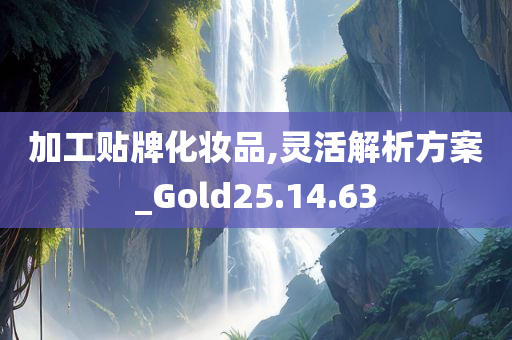 加工贴牌化妆品,灵活解析方案_Gold25.14.63