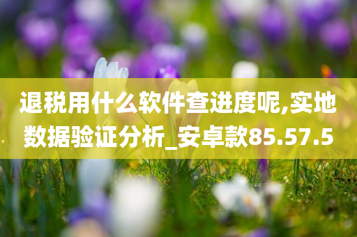 退税用什么软件查进度呢,实地数据验证分析_安卓款85.57.50