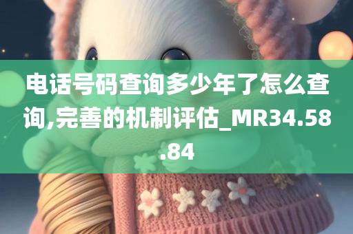 电话号码查询多少年了怎么查询,完善的机制评估_MR34.58.84