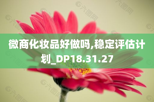 微商化妆品好做吗,稳定评估计划_DP18.31.27