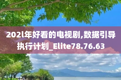 202l年好看的电视剧,数据引导执行计划_Elite78.76.63