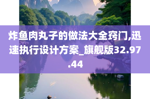 炸鱼肉丸子的做法大全窍门,迅速执行设计方案_旗舰版32.97.44