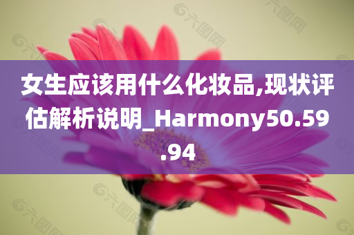 女生应该用什么化妆品,现状评估解析说明_Harmony50.59.94