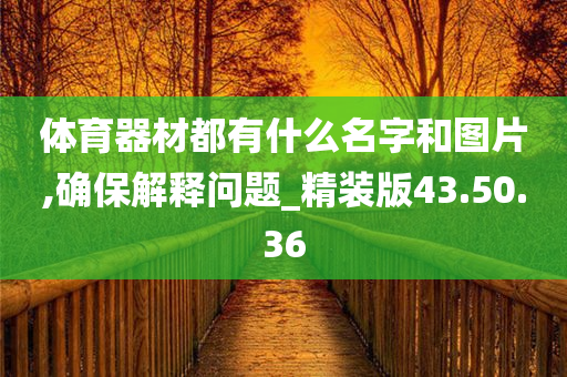 体育器材都有什么名字和图片,确保解释问题_精装版43.50.36