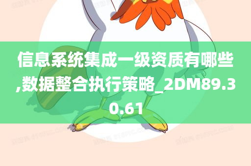 信息系统集成一级资质有哪些,数据整合执行策略_2DM89.30.61