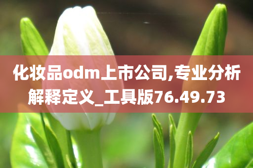 化妆品odm上市公司,专业分析解释定义_工具版76.49.73