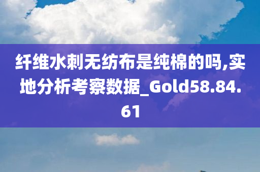 纤维水刺无纺布是纯棉的吗,实地分析考察数据_Gold58.84.61