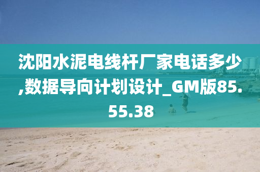 沈阳水泥电线杆厂家电话多少,数据导向计划设计_GM版85.55.38