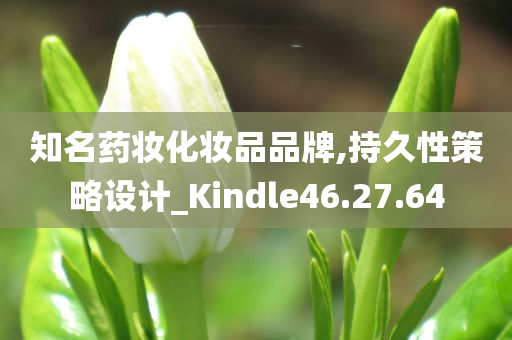 知名药妆化妆品品牌,持久性策略设计_Kindle46.27.64