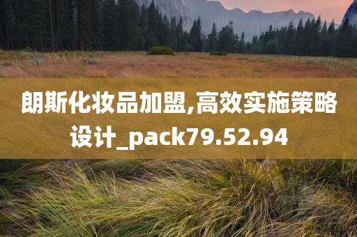 朗斯化妆品加盟,高效实施策略设计_pack79.52.94