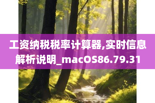 工资纳税税率计算器,实时信息解析说明_macOS86.79.31