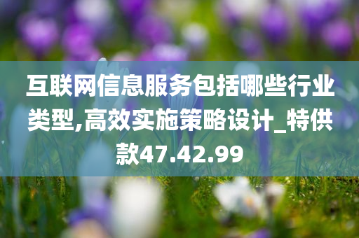 互联网信息服务包括哪些行业类型,高效实施策略设计_特供款47.42.99