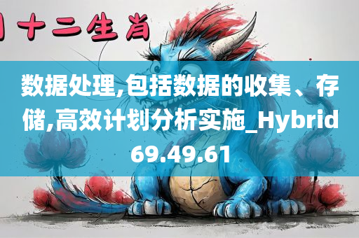 数据处理,包括数据的收集、存储,高效计划分析实施_Hybrid69.49.61