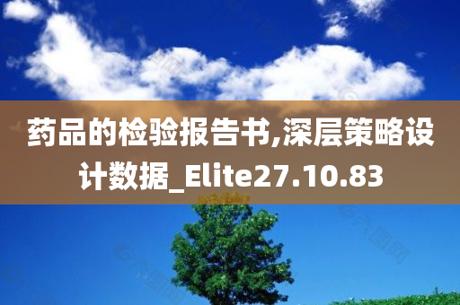 药品的检验报告书,深层策略设计数据_Elite27.10.83