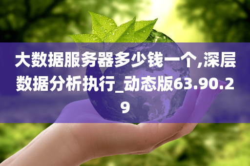 大数据服务器多少钱一个,深层数据分析执行_动态版63.90.29