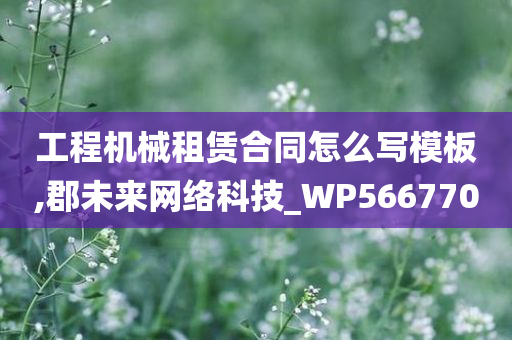 工程机械租赁合同怎么写模板,郡未来网络科技_WP566770